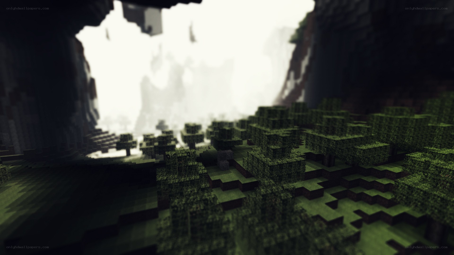Minecraft cave entrance