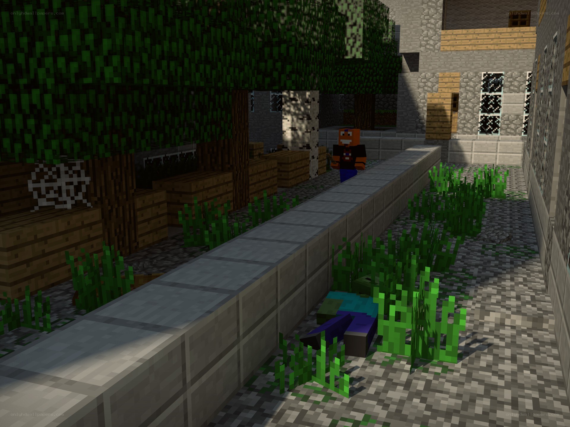 Minecraft character in a village