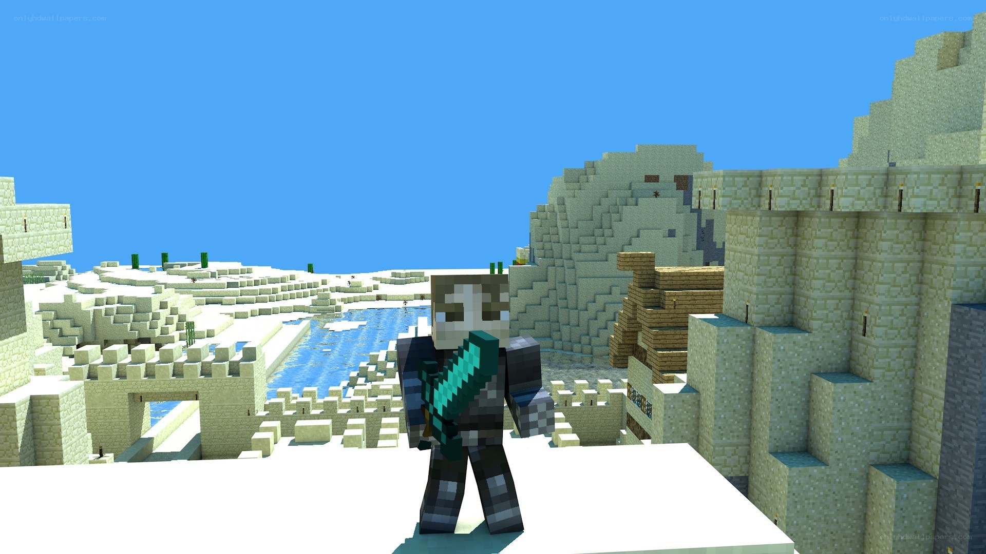 Minecraft character in desert village