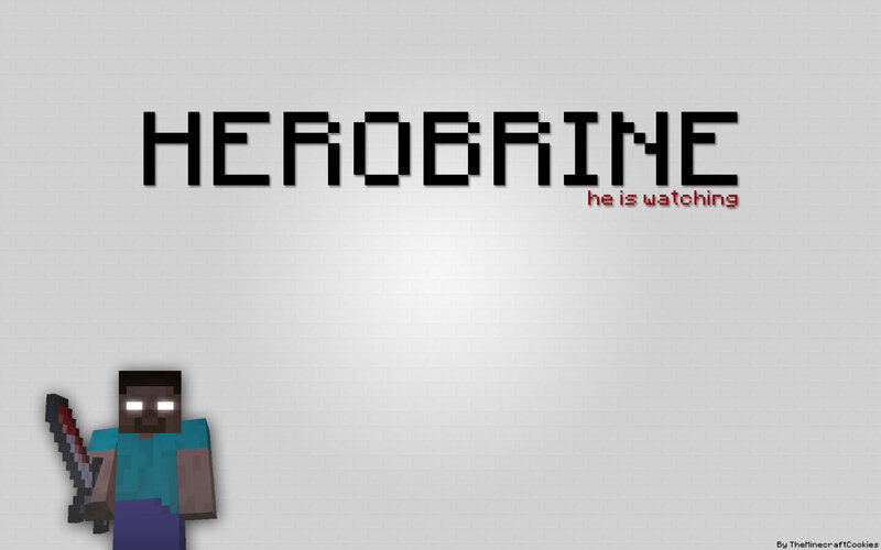Minecraft Character Steve