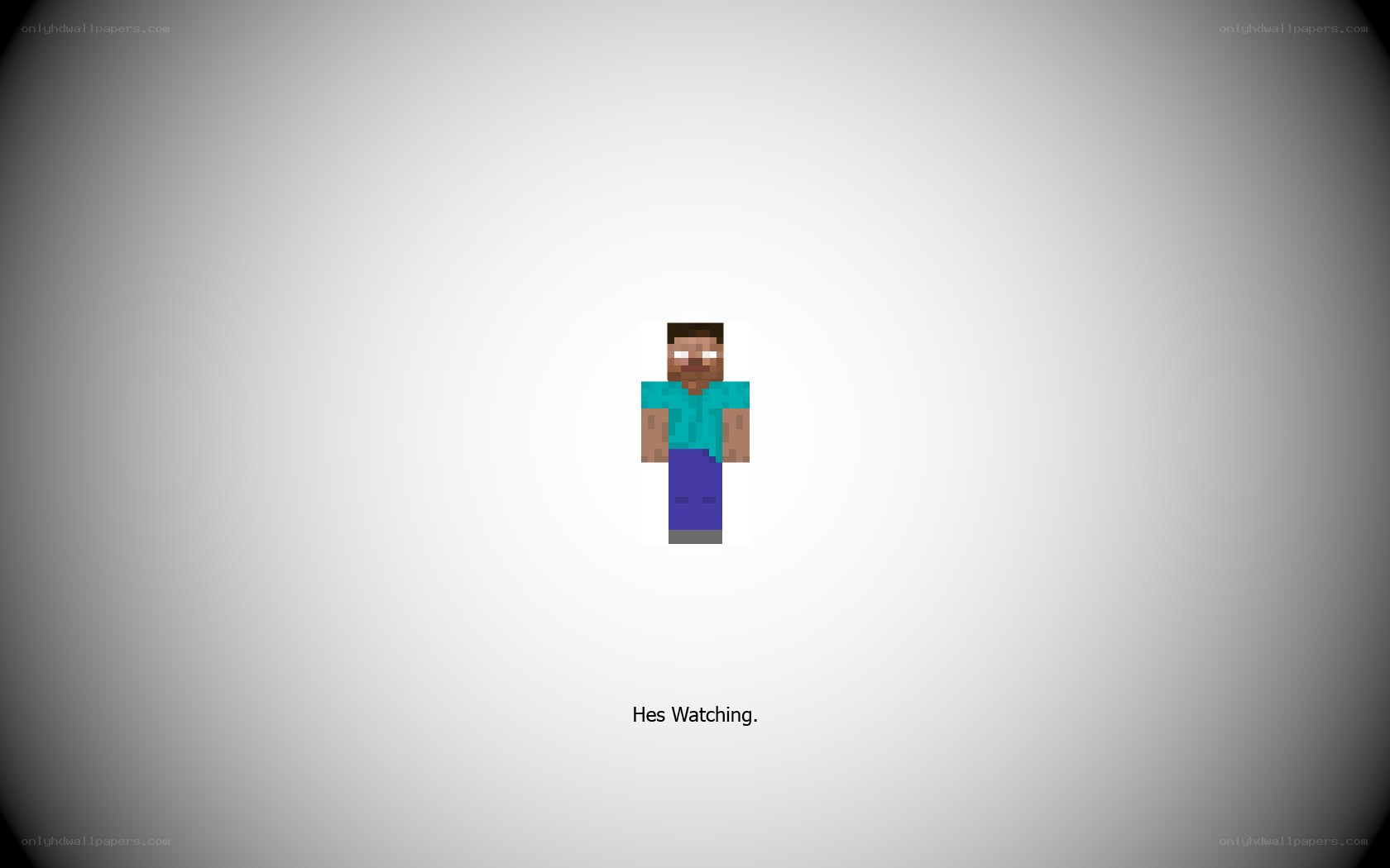 Minecraft character with text