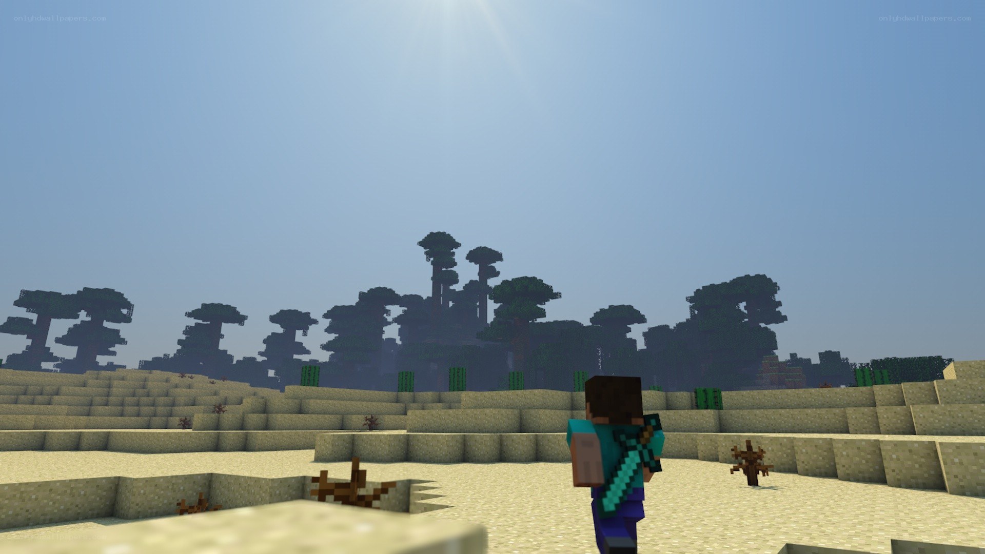 Minecraft desert scene