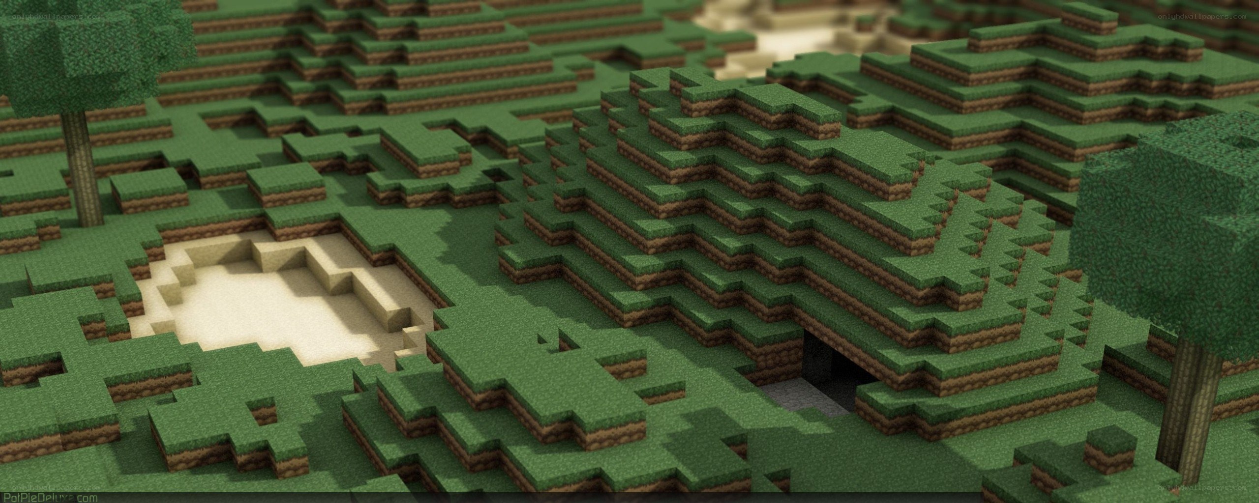 Minecraft forest landscape
