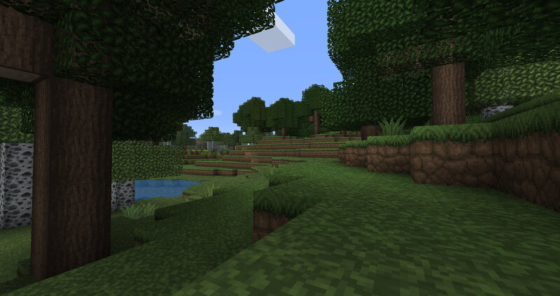 Minecraft forest scene