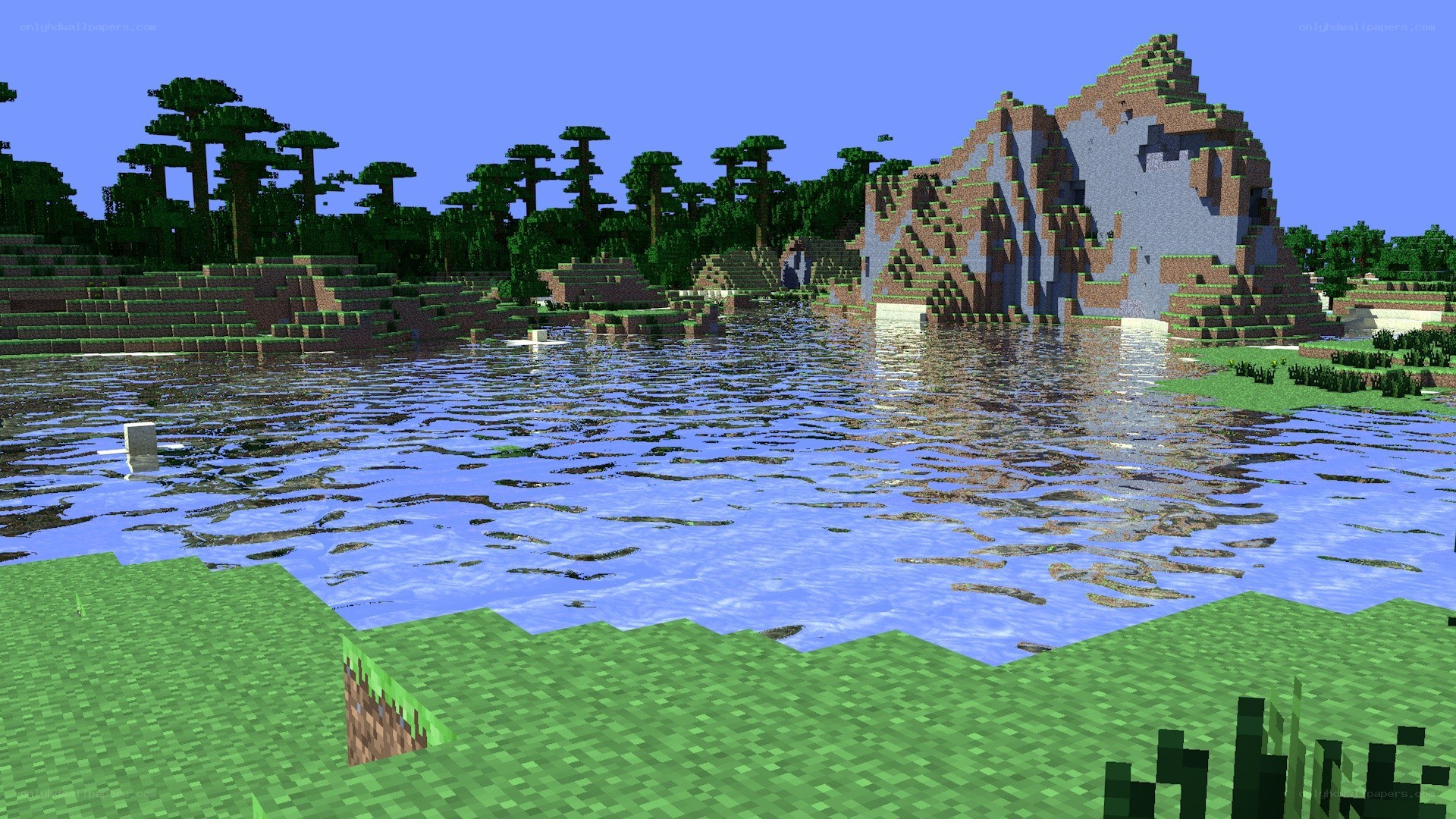 Minecraft jungle lake scene