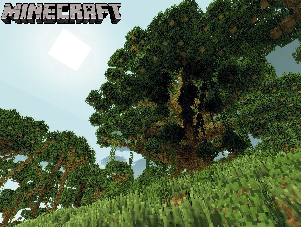Minecraft jungle scene