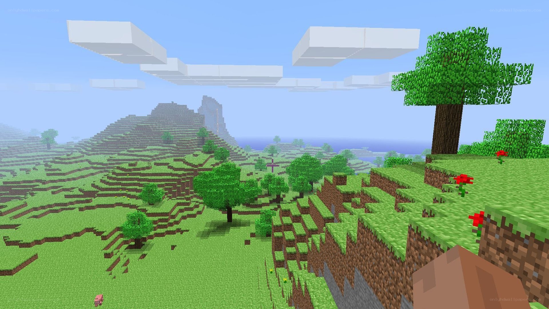 Minecraft landscape scene