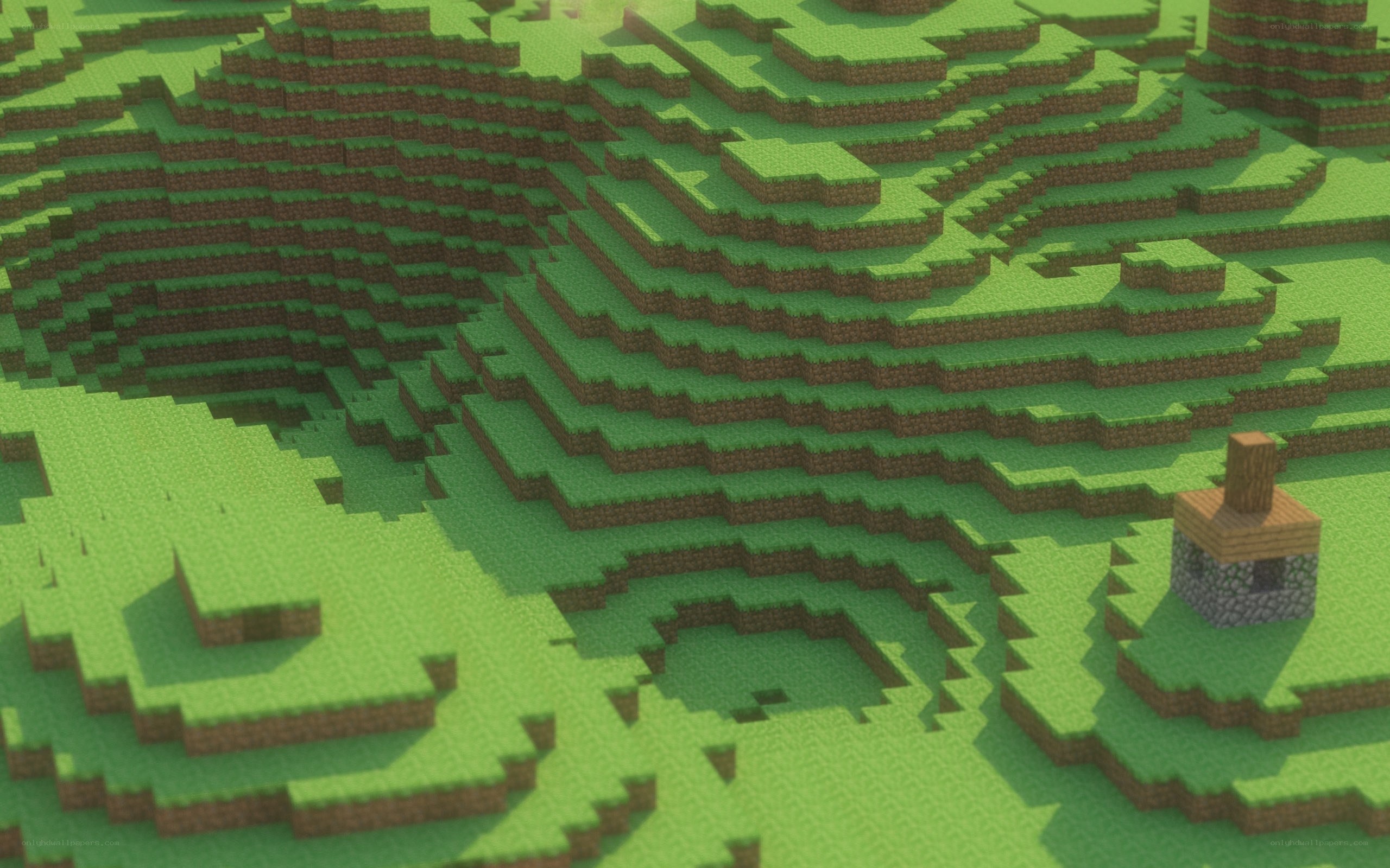 Minecraft landscape with village