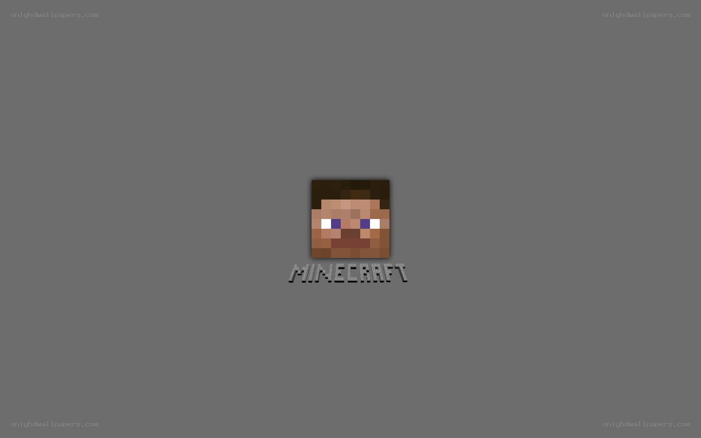 Minecraft logo on gray background