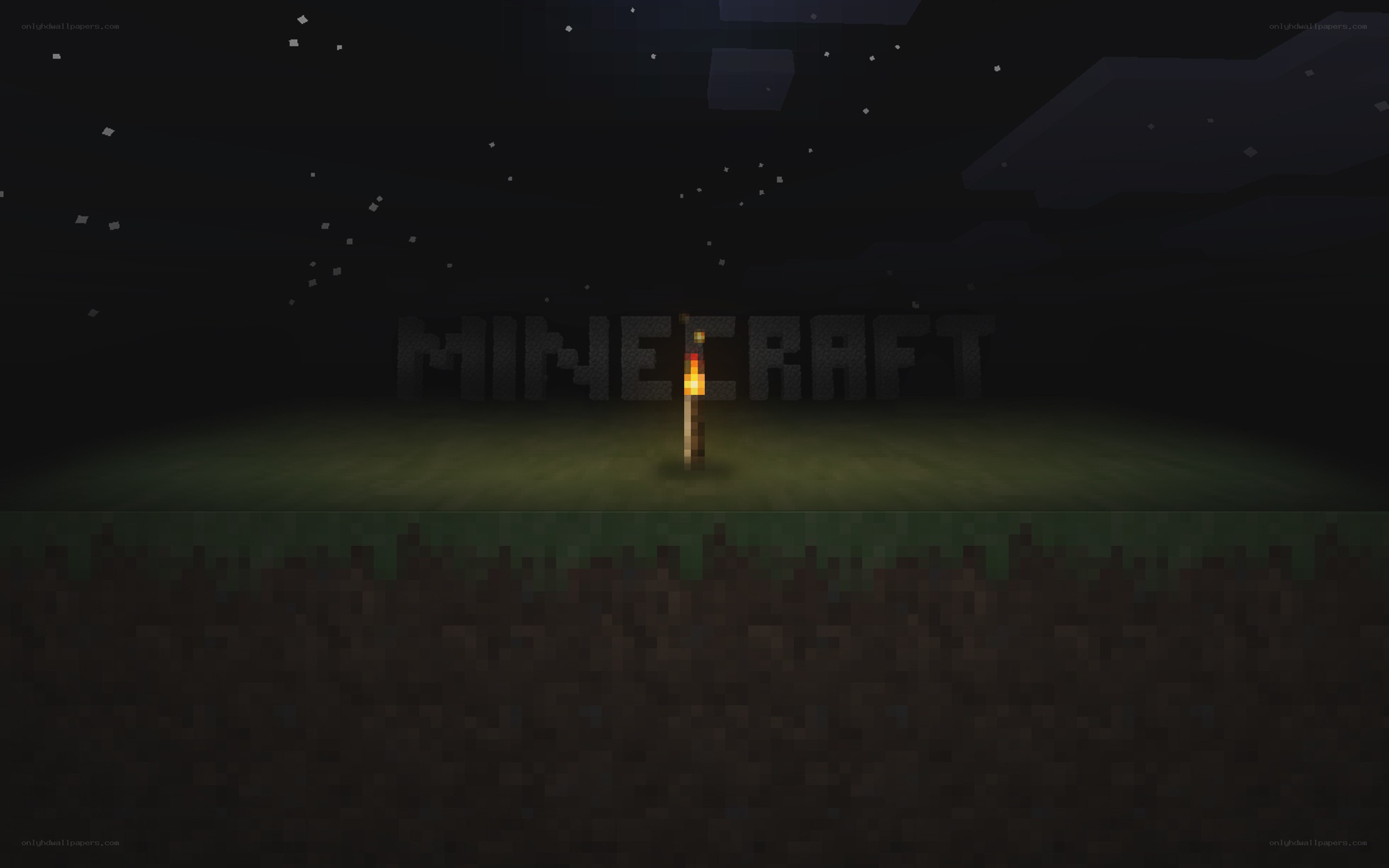 Minecraft night scene