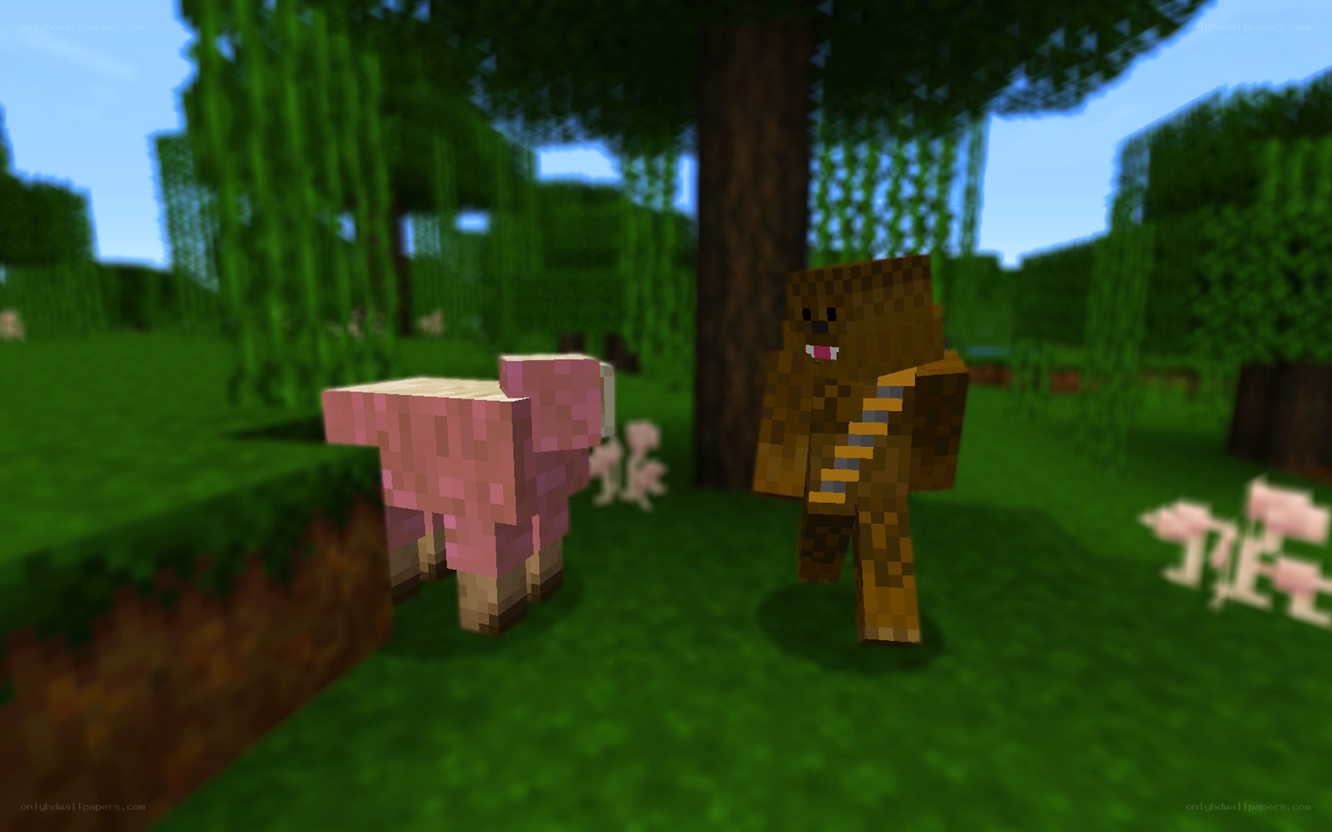 Minecraft pig and character