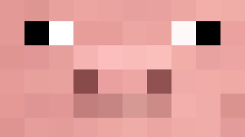 Minecraft pig face
