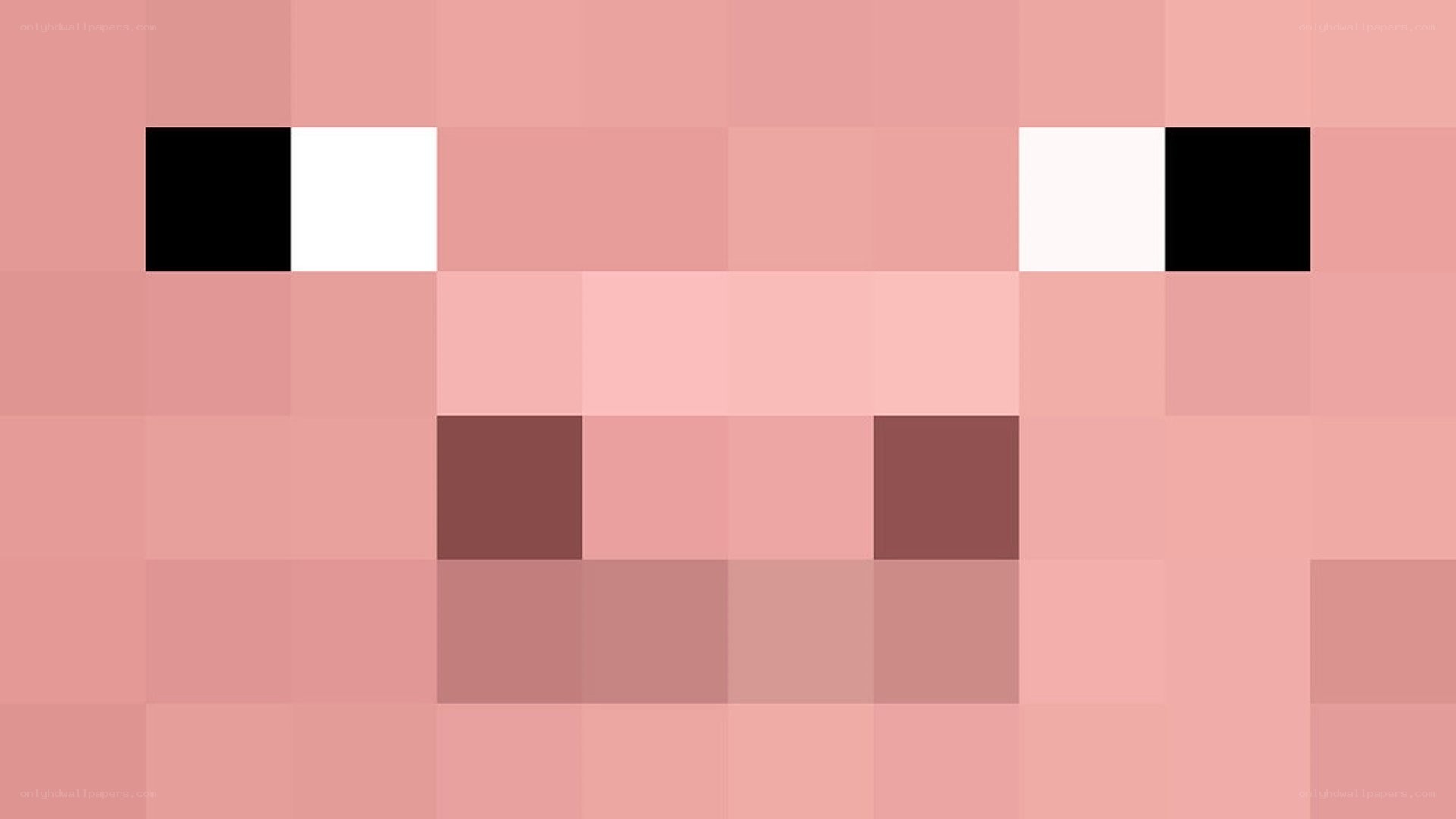 Minecraft pig face