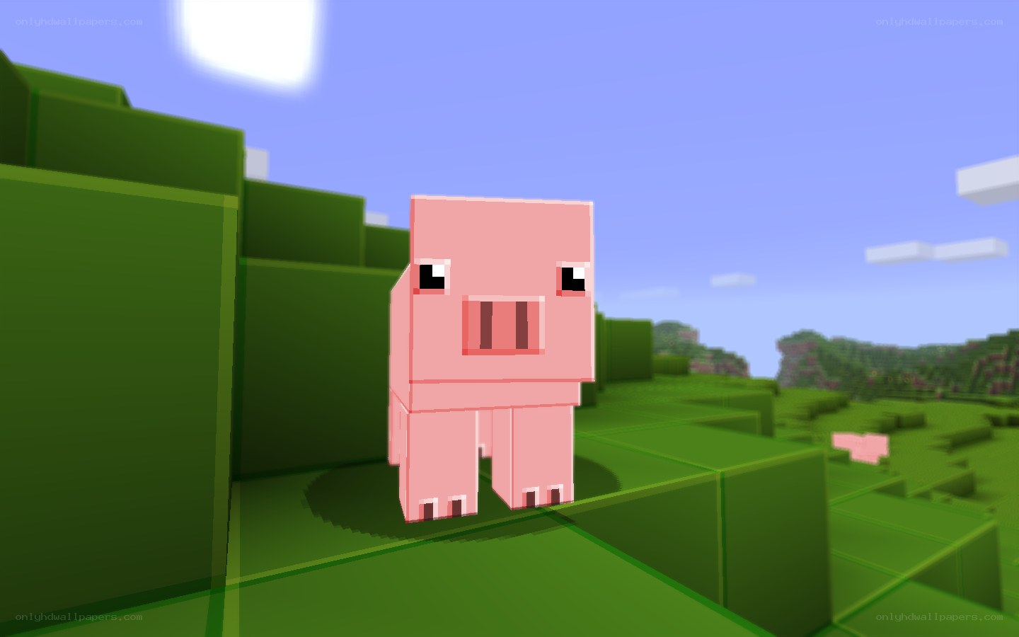 Minecraft pig in a grassy field