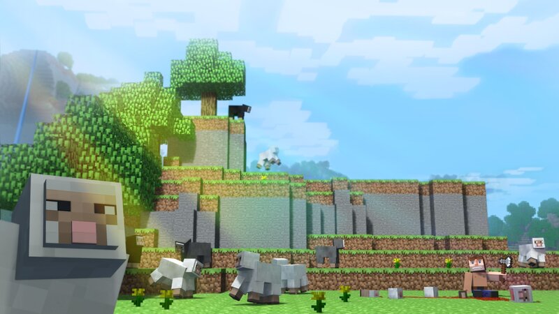 Minecraft sheep in a field