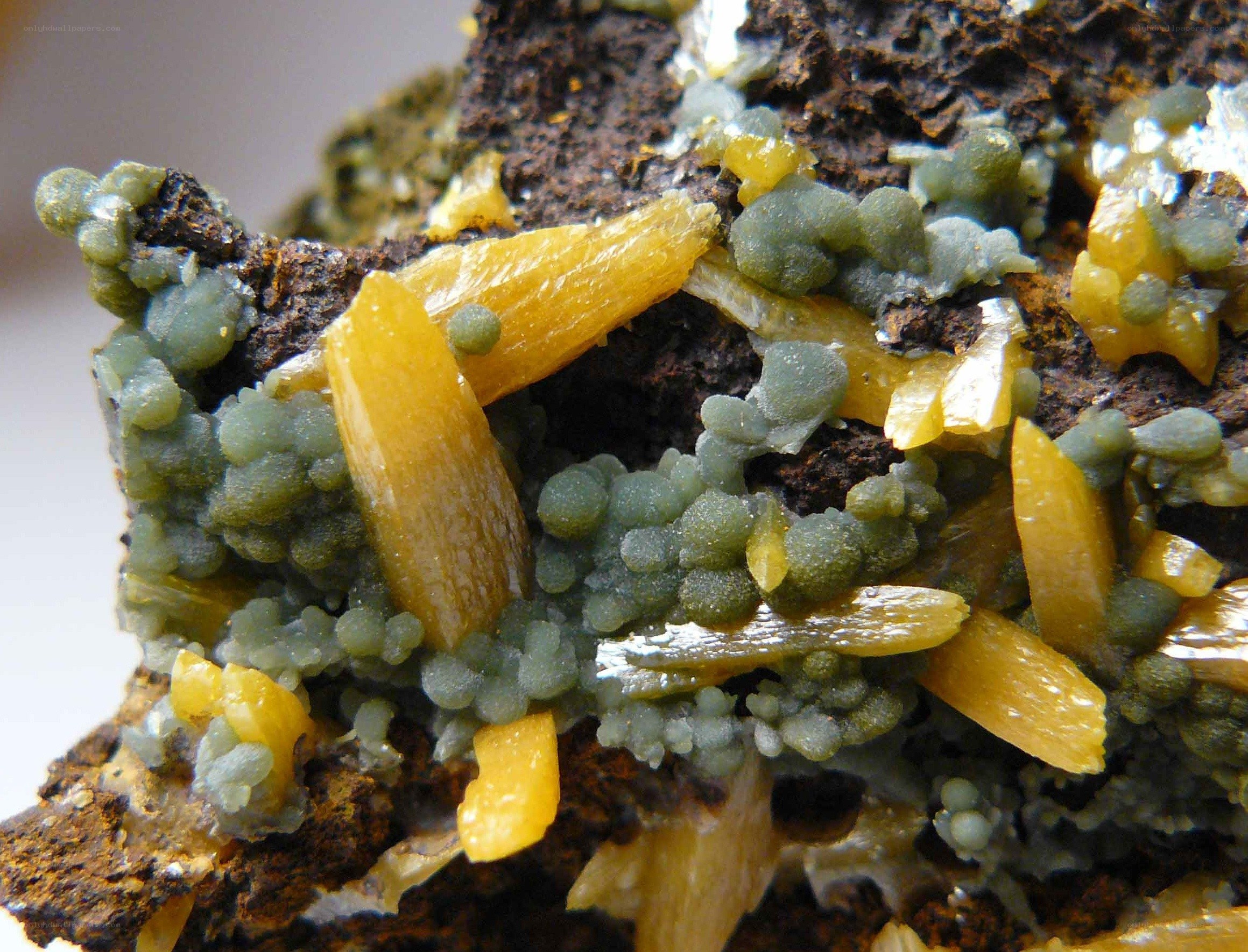 mineral specimen with crystals