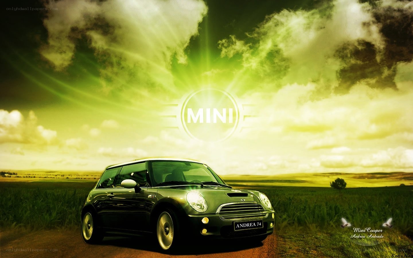 Mini Cooper in a green field