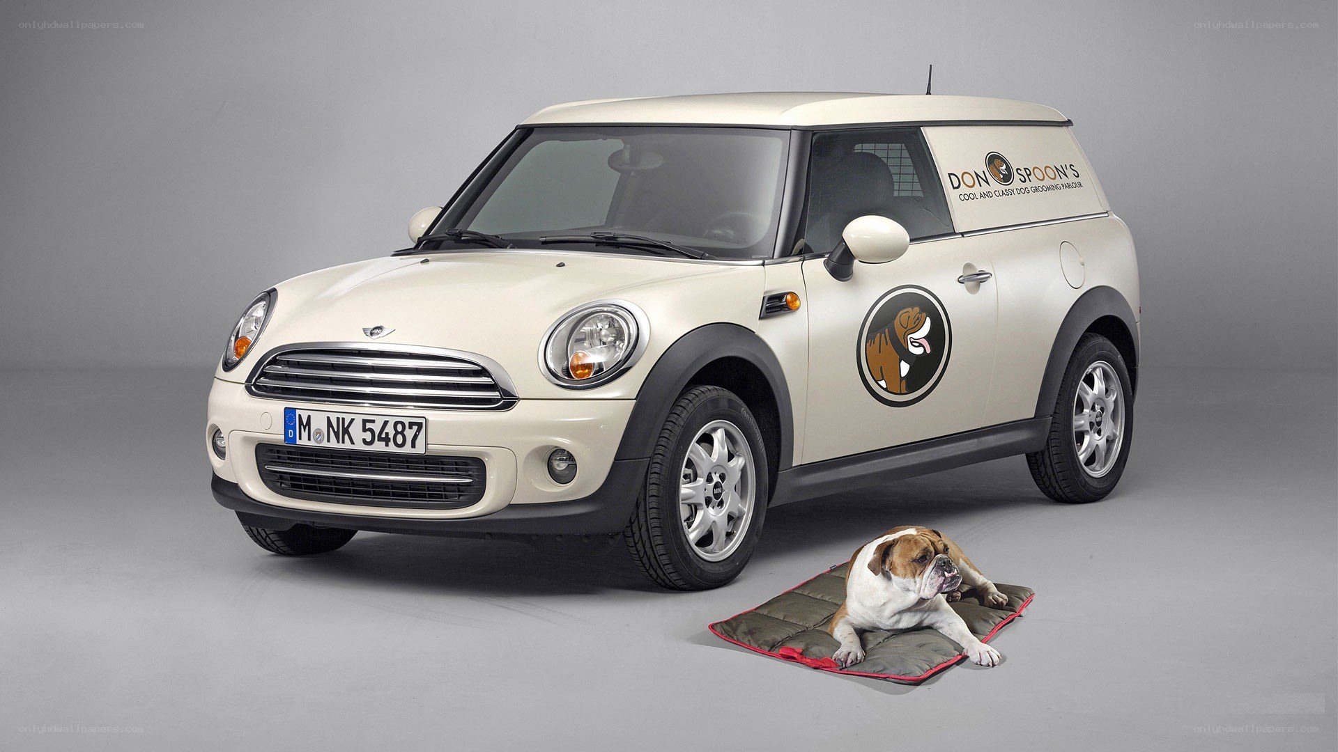 Mini Cooper van with dog