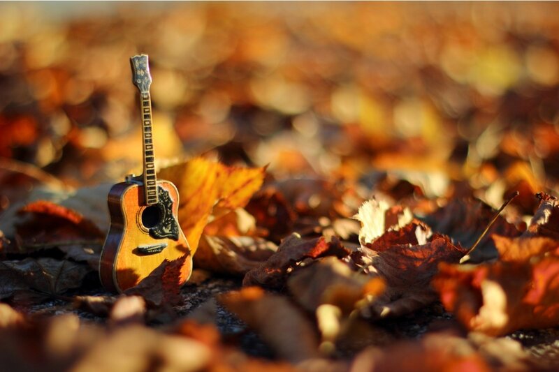 Mini Guitar in Leaves