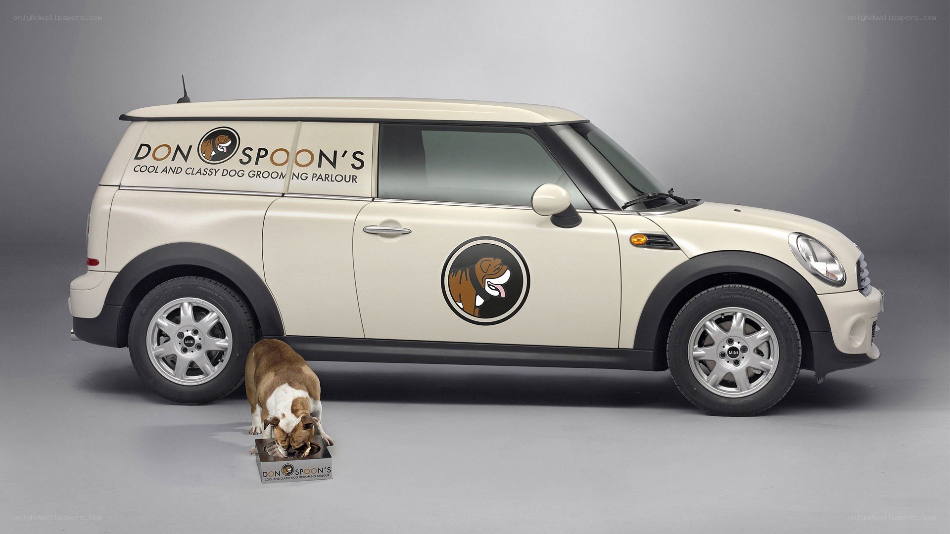 Mini van with dog grooming branding