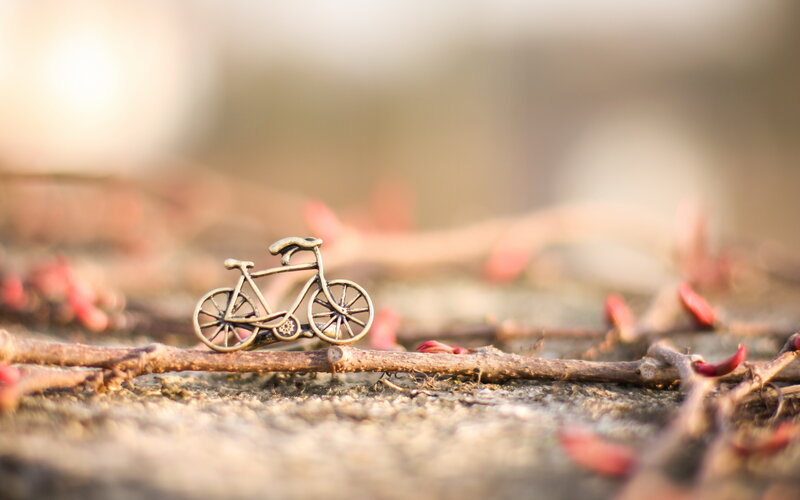 Miniature Bicycle on Branch