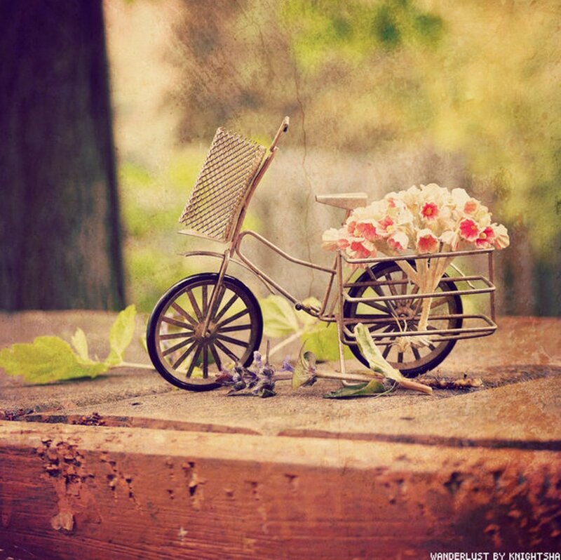 Miniature Bicycle with Flowers