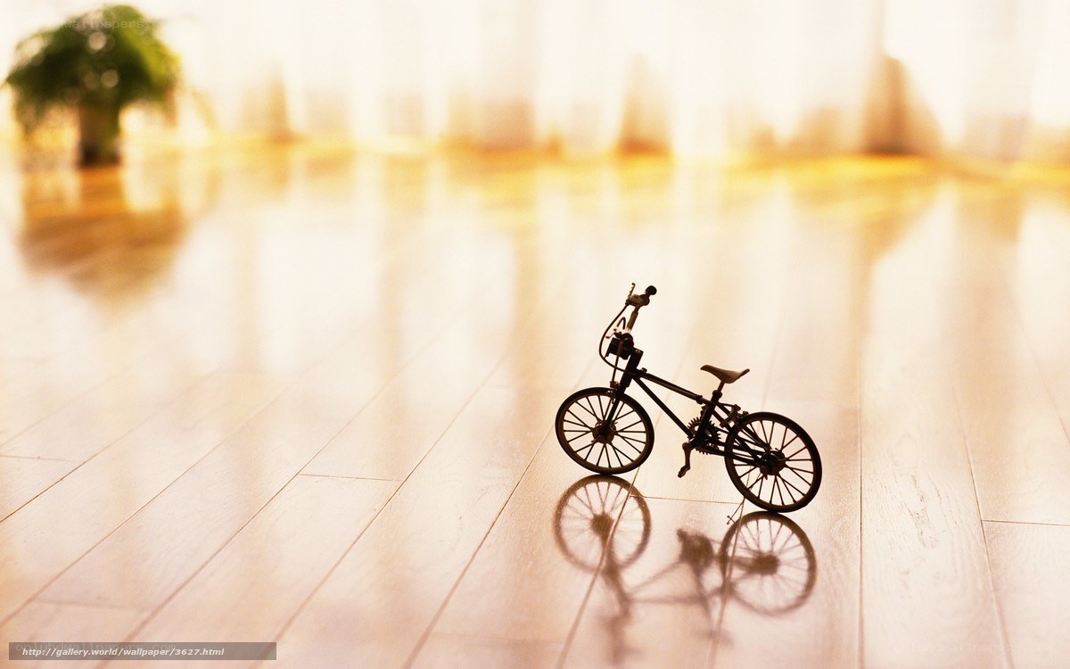 Miniature bike on wooden floor