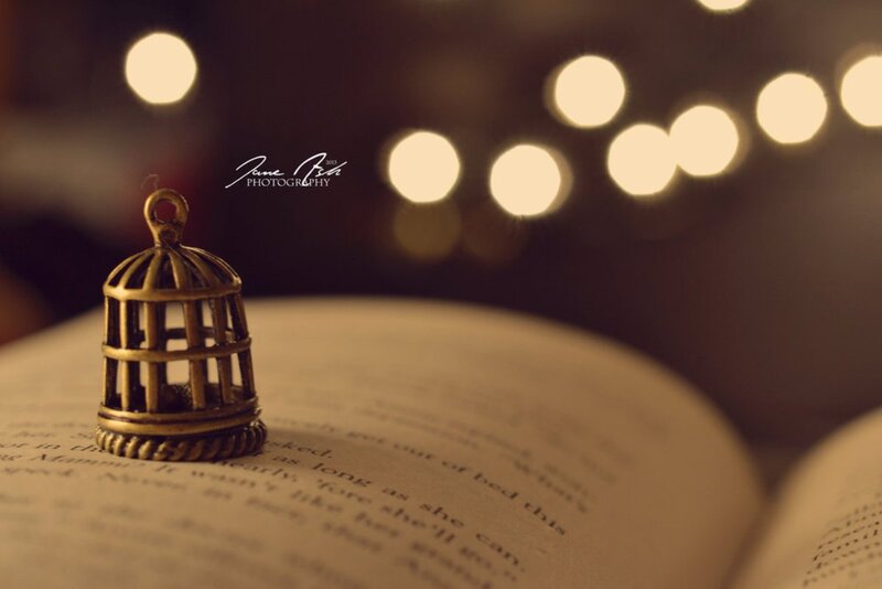 Miniature Birdcage on Book