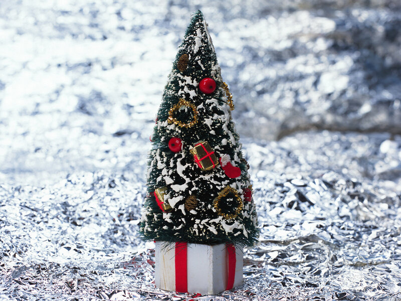 Miniature Christmas Tree — Green, Festive, Winter