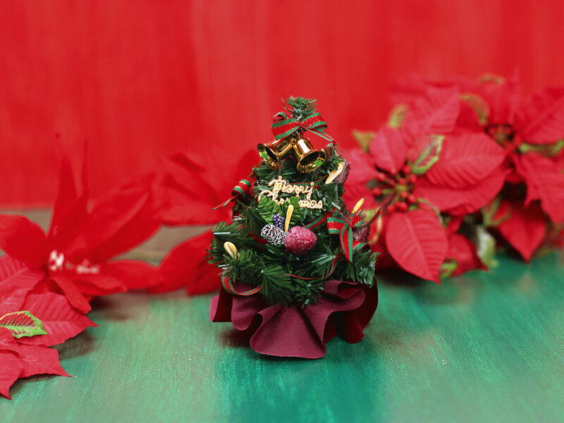 Miniature Christmas Tree — Red, Festive