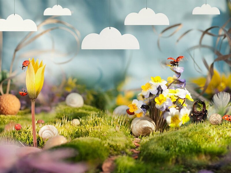 Miniature garden with ladybugs