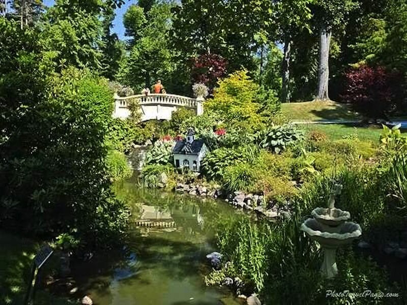 Miniature Garden with Pond