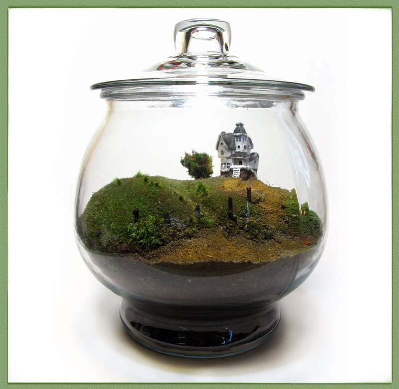 Miniature House in Terrarium