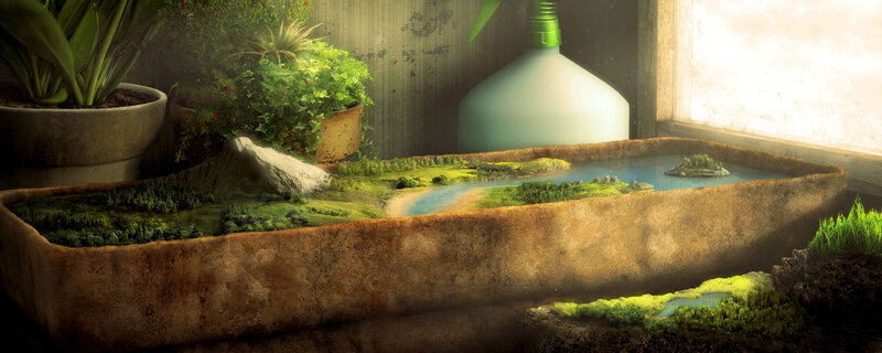 Miniature Landscape in Basin