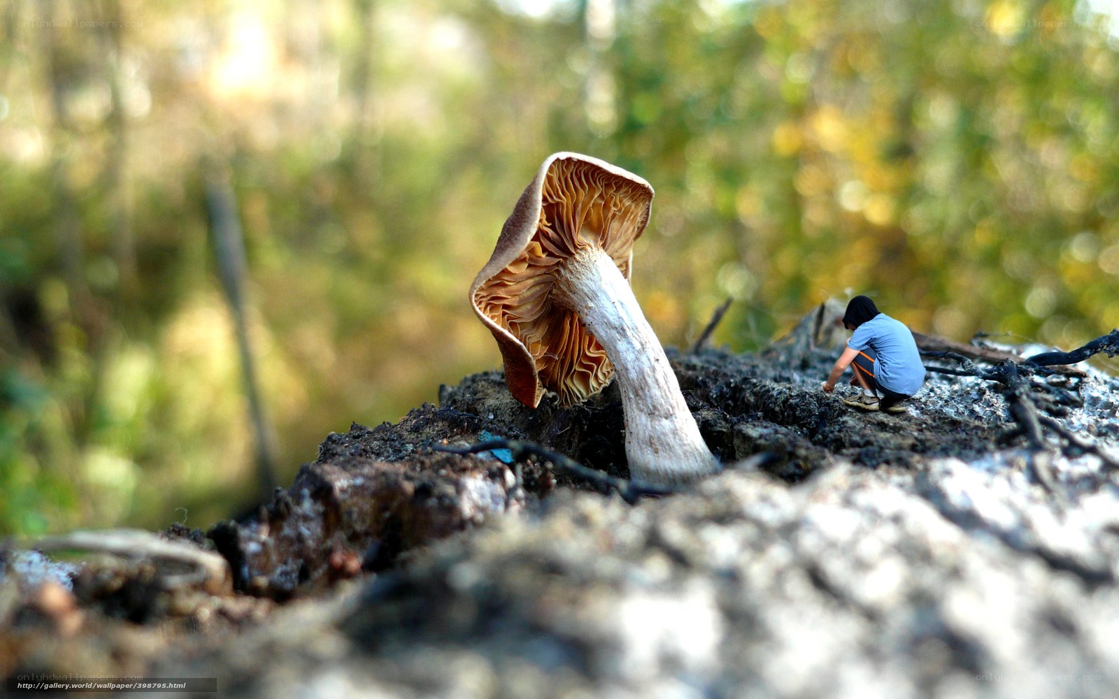 Miniature person with mushroom