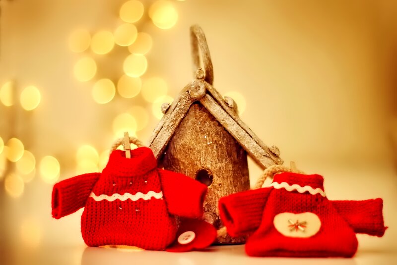 Miniature Red Sweaters