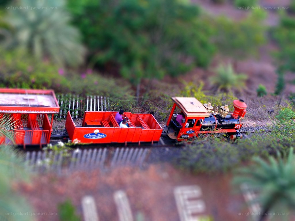 Miniature train at theme park