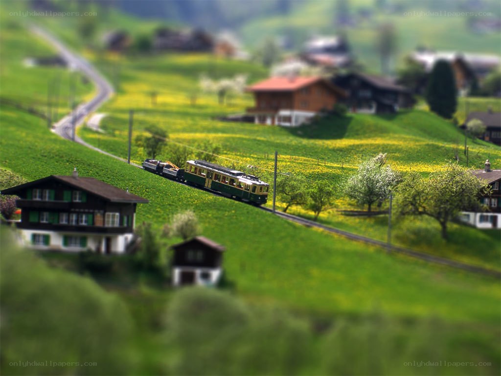 Miniature train in green valley