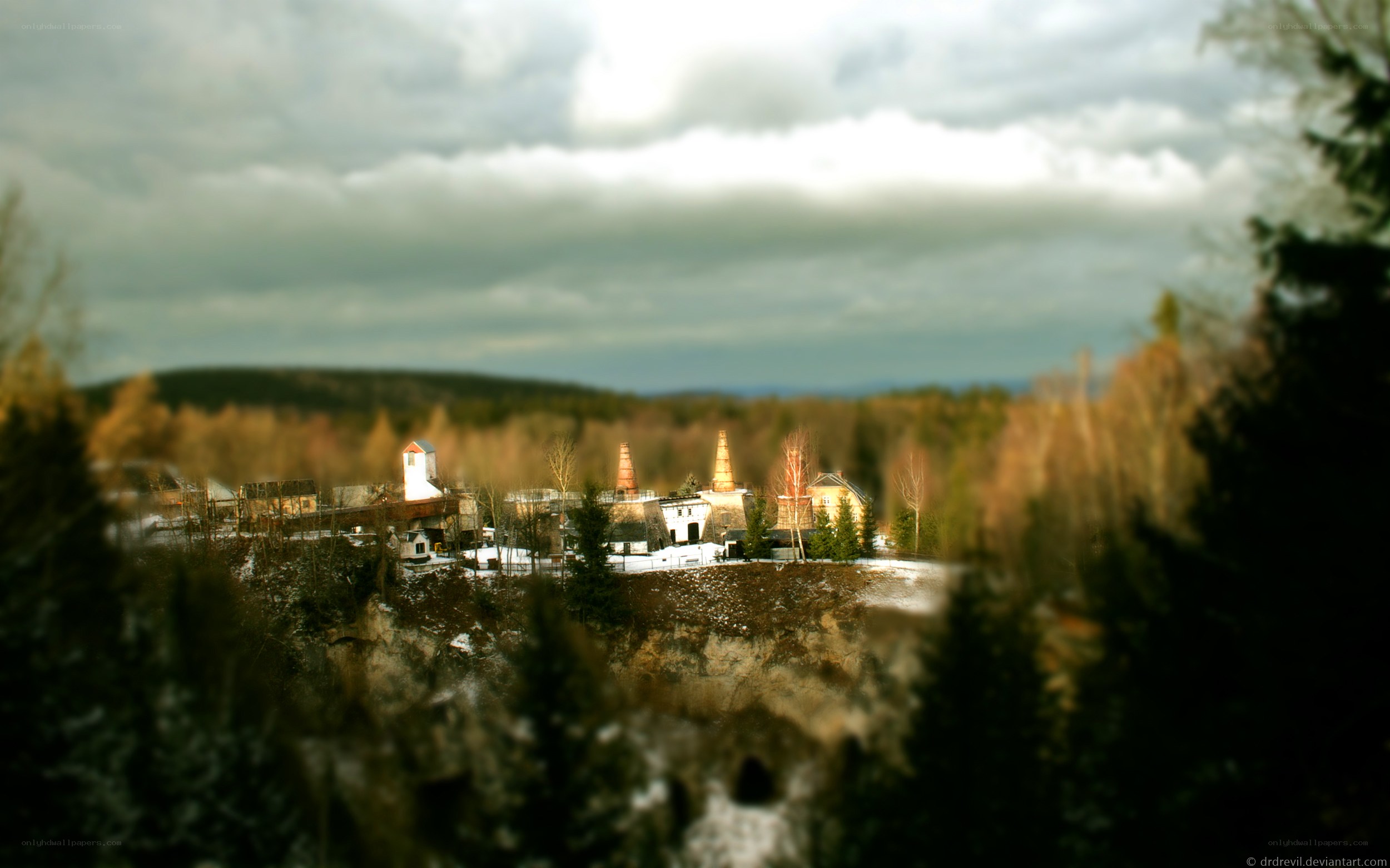 Miniature village in forest