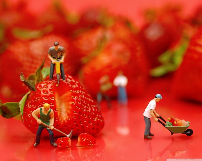 Miniature Workers on Strawberry
