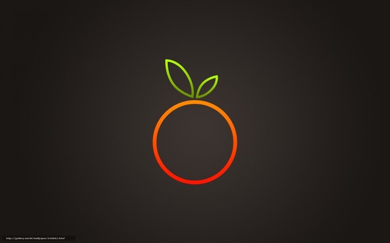 Minimal orange fruit icon