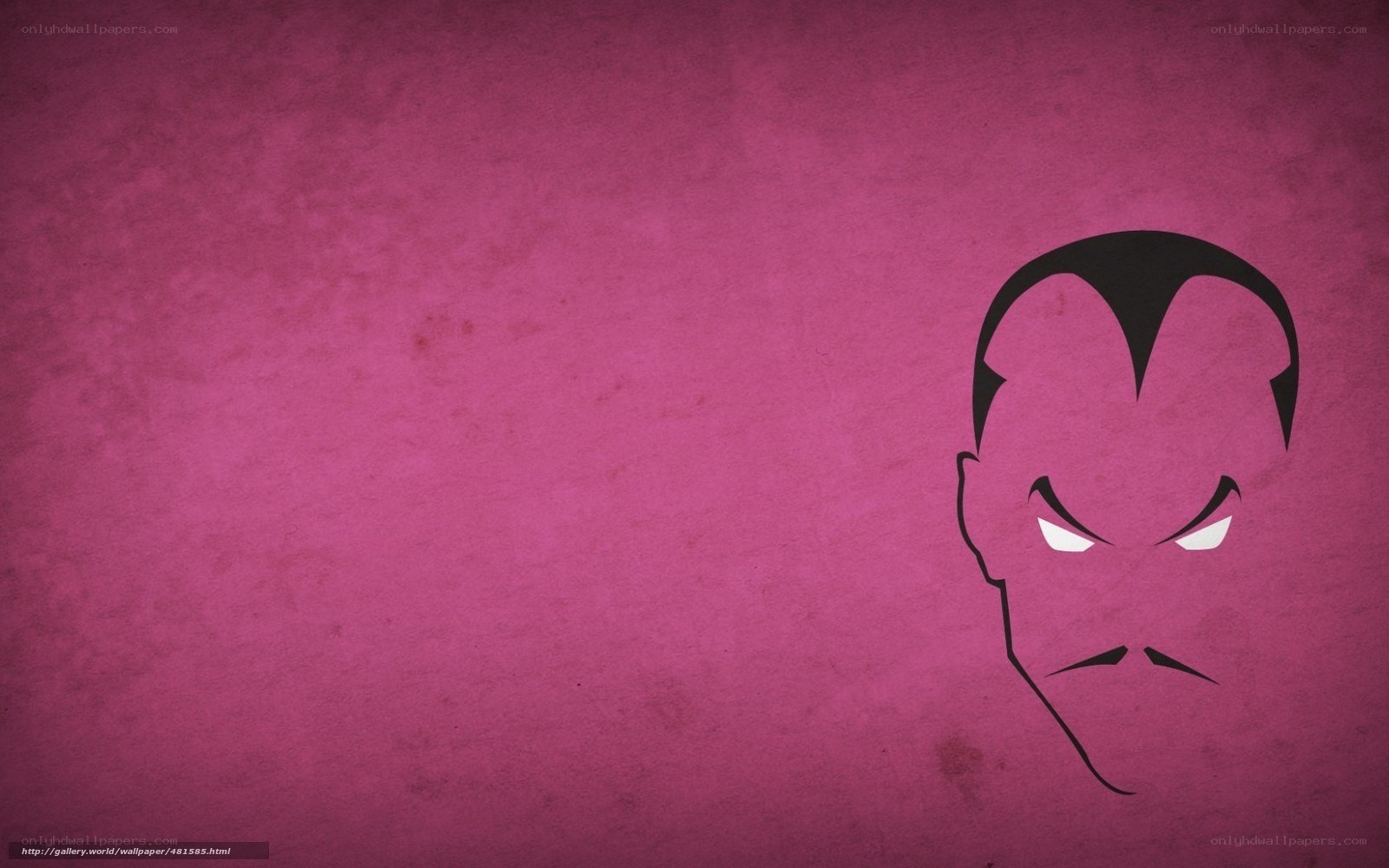 minimalist character portrait