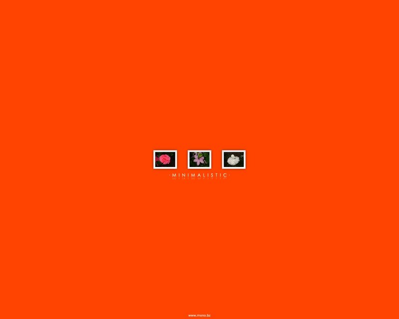 Minimalist flower collage