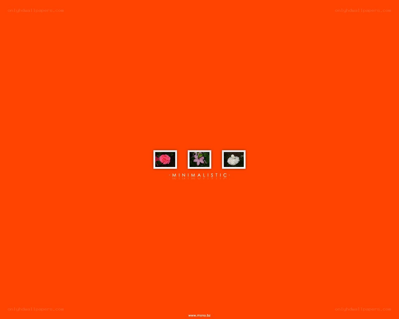 Minimalist flower collage