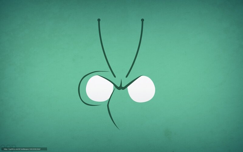 minimalist insect eyes
