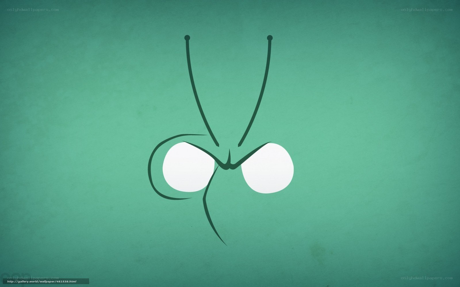 minimalist insect eyes