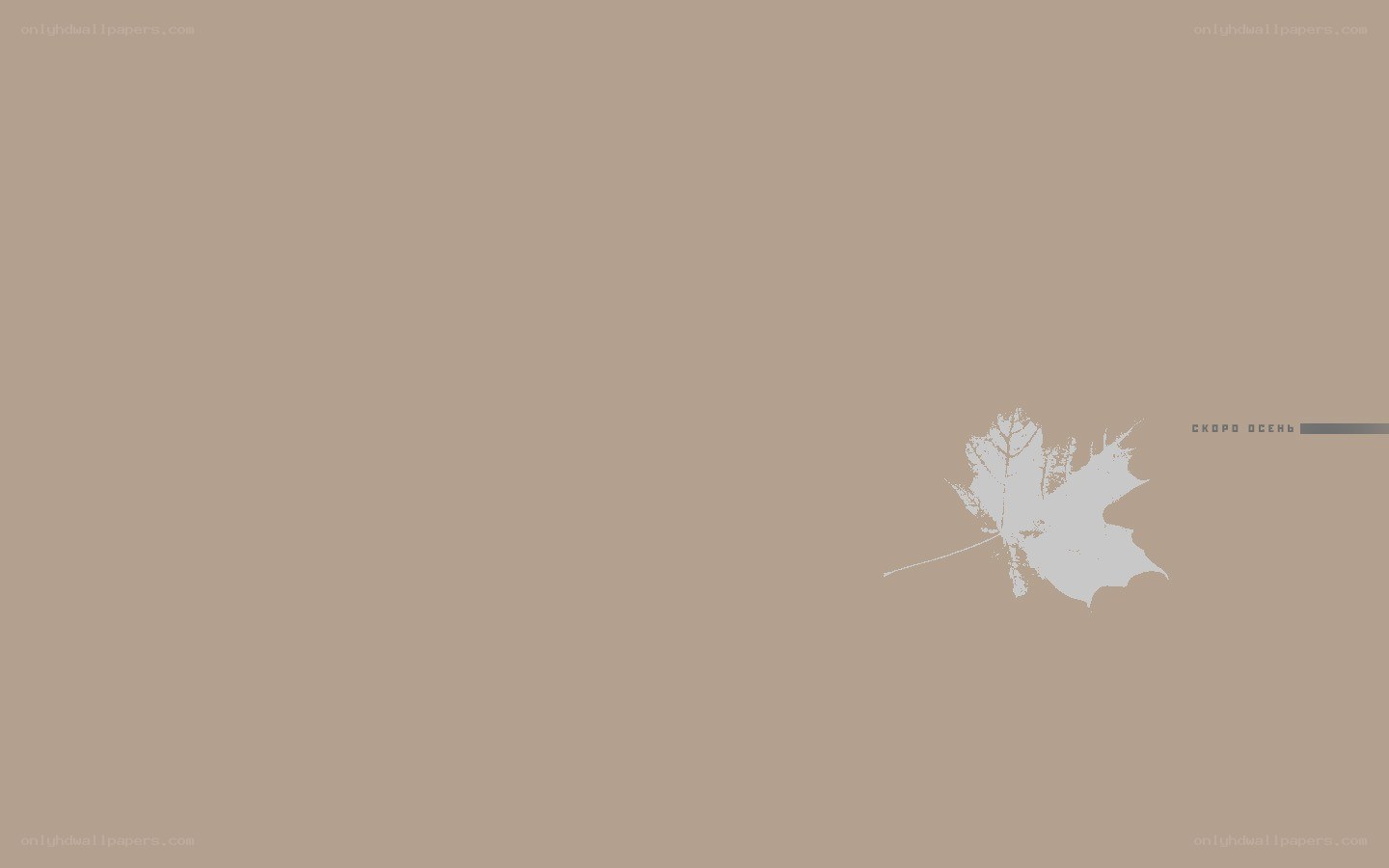Minimalist leaf design