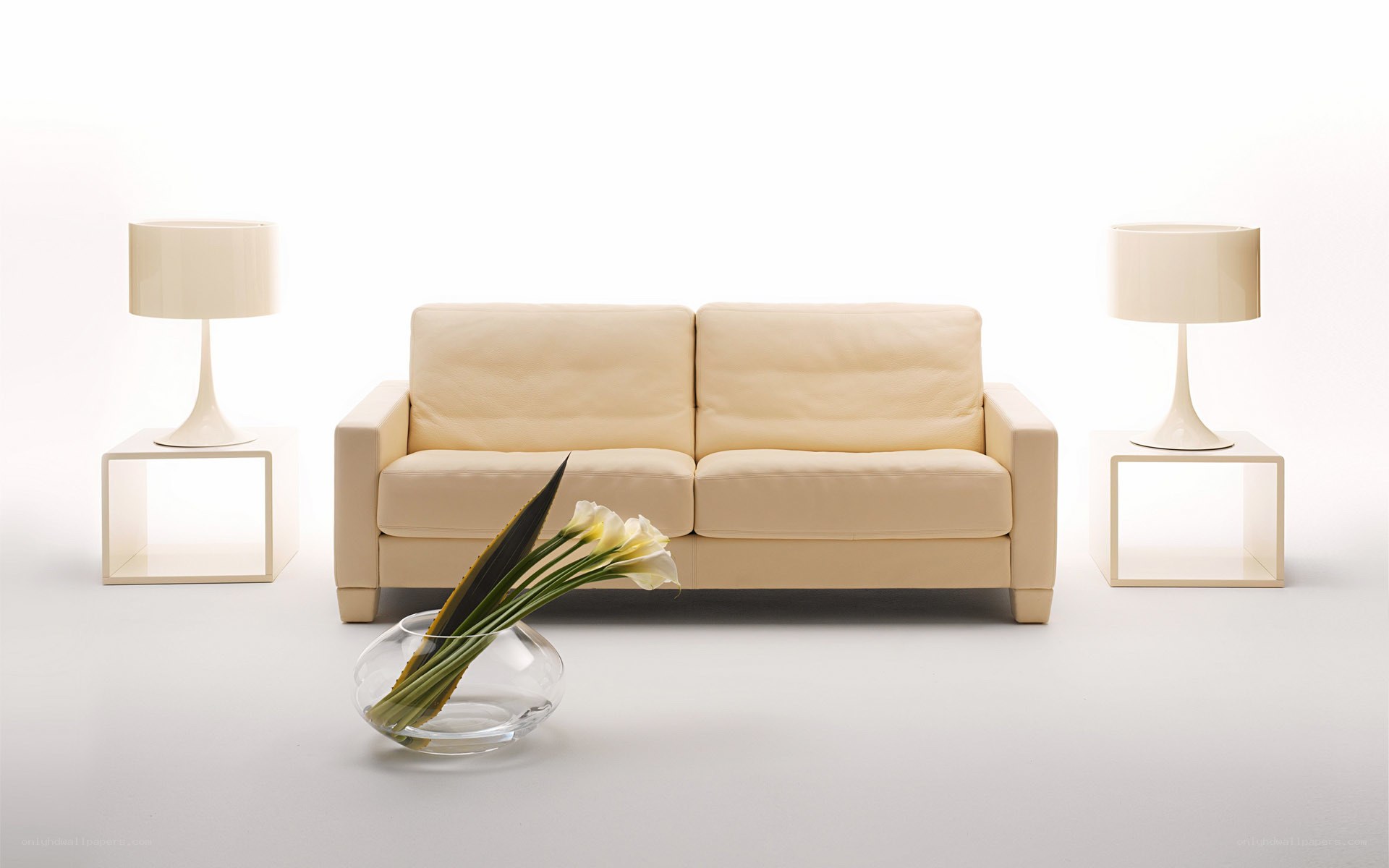 Minimalist living room setup