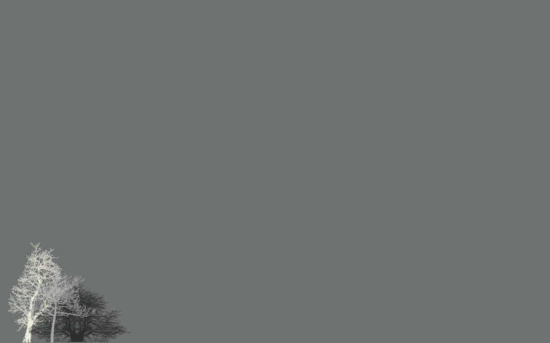 minimalist tree silhouette