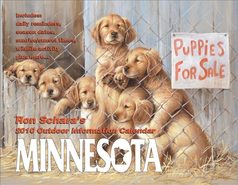 Minnesota Puppies For Sale Calendar